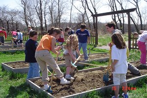 Raised beds