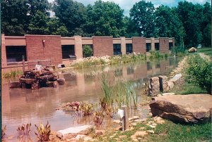 pond 